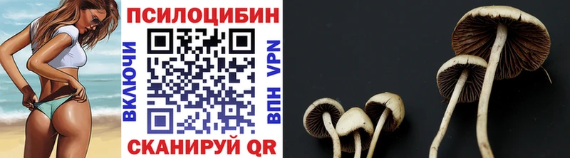 хочу наркоту  Дедовск  Галлюциногенные грибы прущие грибы 